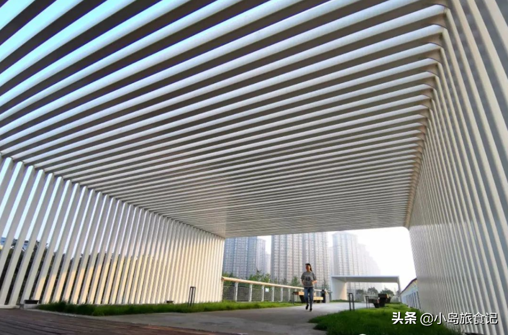 全部免费！秦皇岛这九个游玩好去处，人少景美还好玩 第39张