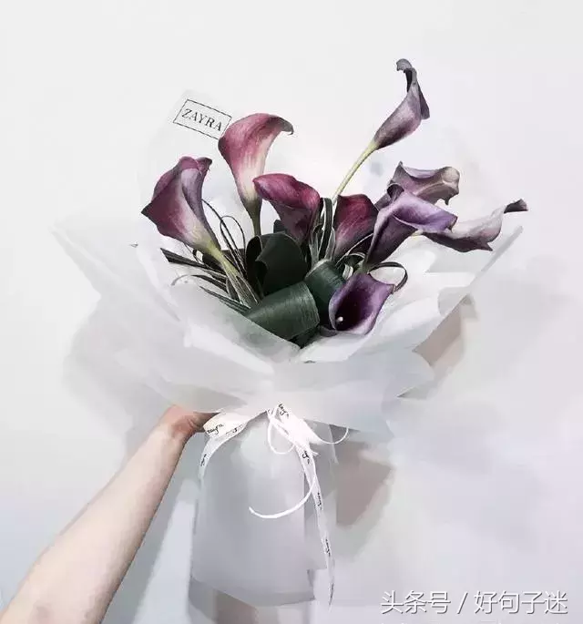 好的爱情经典语录（向往唯美爱情的心情说说） 第17张