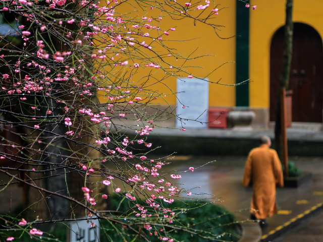杭州旅游十大必去打卡景点 第33张