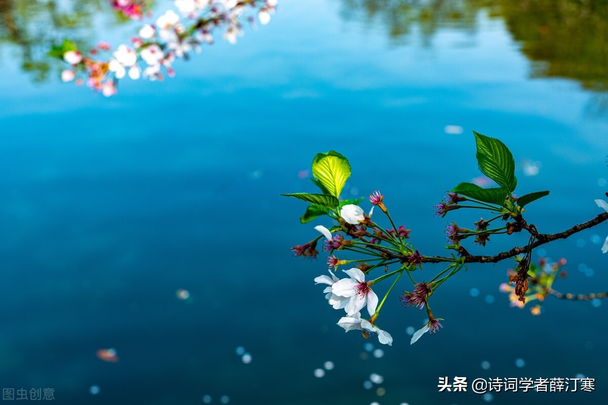 春风的诗句有哪些（关于描写春风的诗句） 第7张