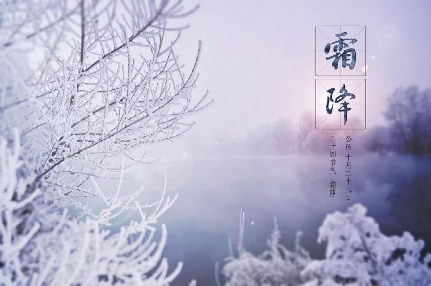 霜降古诗词赏析（赞美霜的诗句古诗鉴赏） 第1张