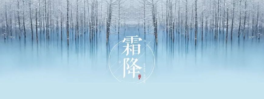 霜降古诗词赏析（赞美霜的诗句古诗鉴赏） 第7张