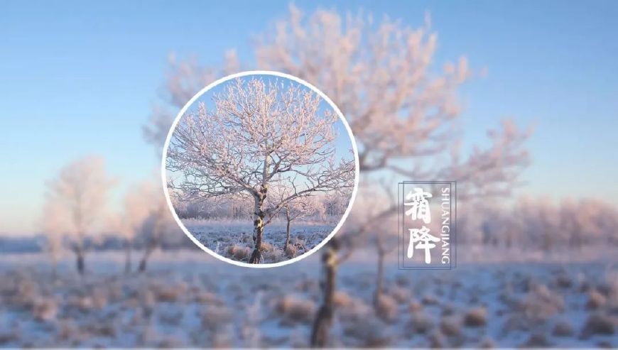 霜降古诗词赏析（赞美霜的诗句古诗鉴赏） 第13张