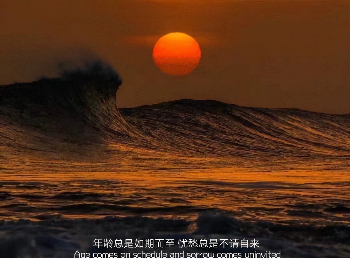 心情特别丧的句子（丧到让人心疼的句子） 第7张