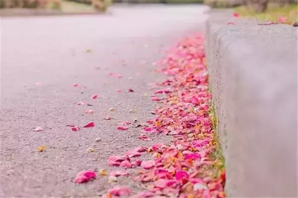 想表达对不起的句子（想对一个人说对不起的话） 第17张