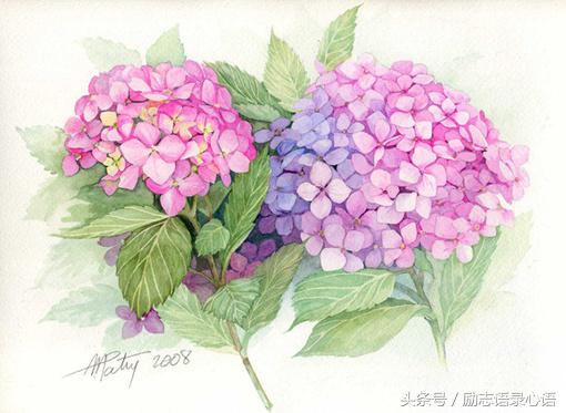工作思想感悟的句子（工作心得总结这8条精简短句） 第3张