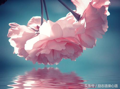 工作思想感悟的句子（工作心得总结这8条精简短句） 第5张
