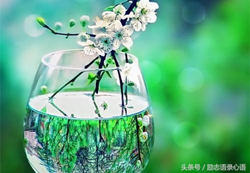 工作思想感悟的句子（工作心得总结这8条精简短句） 第7张