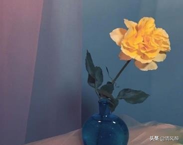 表达很爱一个人的句子（相遇不易彼此珍惜爱情语录） 第1张