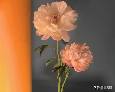 表达很爱一个人的句子（相遇不易彼此珍惜爱情语录） 第5张