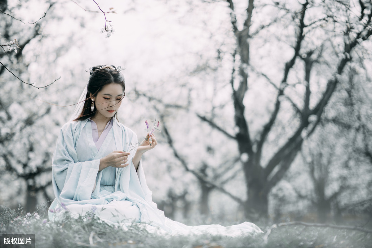 含有梨花的诗句有哪些（描写梨花的现代诗） 第3张