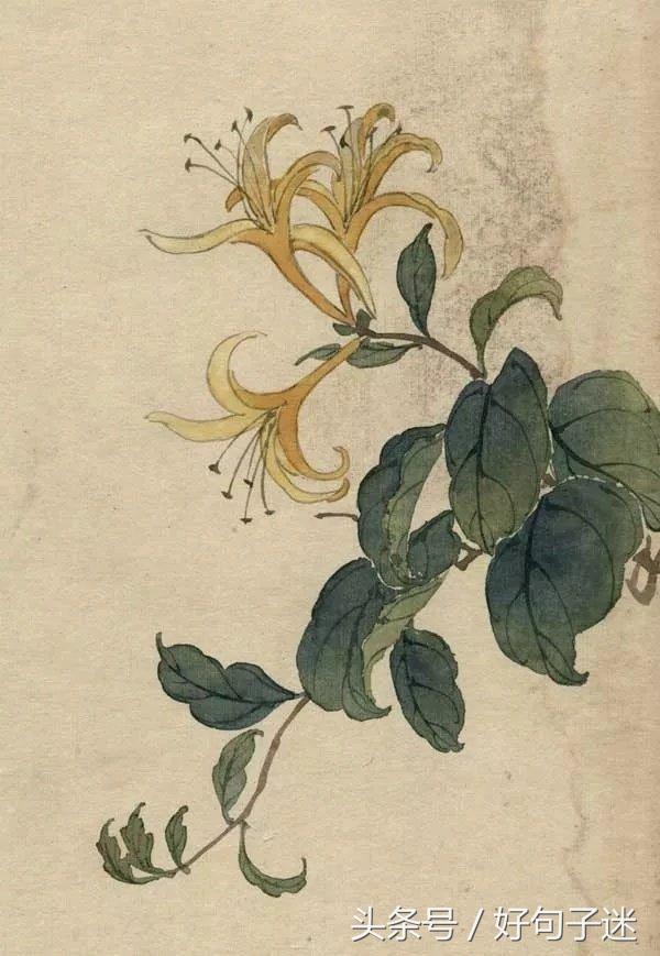 古风唯美的句子摘抄（阳光简短励志唯美语录） 第1张