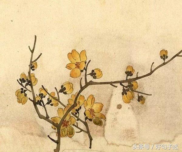 古风唯美的句子摘抄（阳光简短励志唯美语录） 第9张
