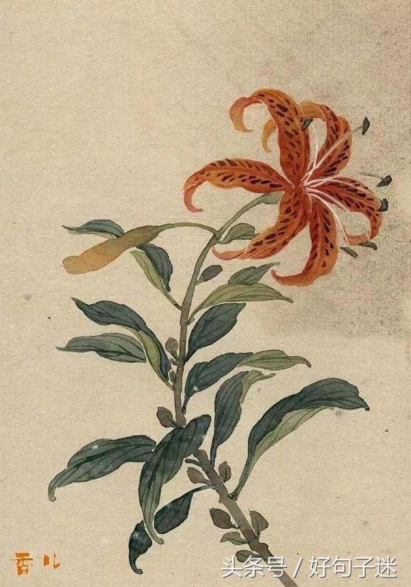古风唯美的句子摘抄（阳光简短励志唯美语录） 第11张