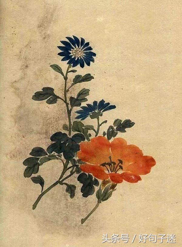 古风唯美的句子摘抄（阳光简短励志唯美语录） 第13张