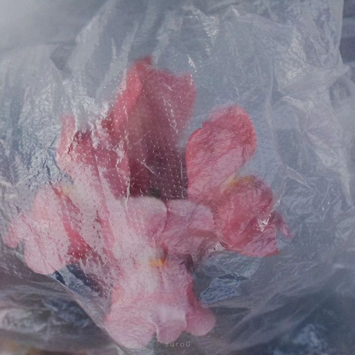 情侣久别重逢的句子（恋人重逢的唯美语录） 第9张
