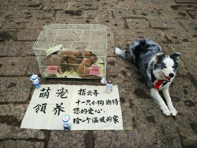 八个最火爆地摊项目，赚钱就是如此简单，快来学 第11张