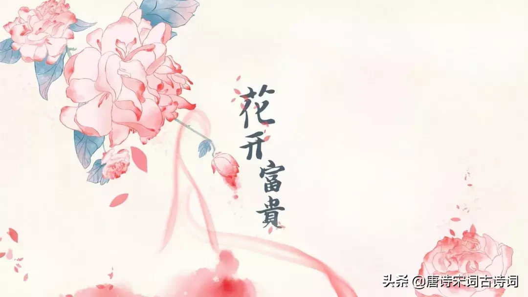 牡丹诗句经典唯美（形容牡丹的诗句鉴赏） 第1张