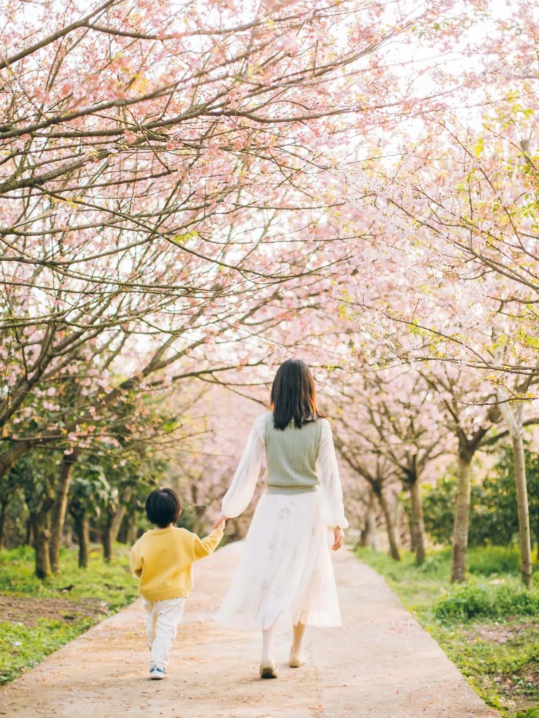 和朋友游花海的优美句子（适合发圈的心情说说） 第13张