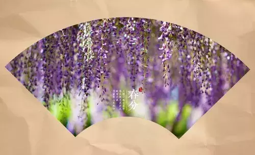 春分古诗大全鉴赏（关于春分节气的古诗） 第1张