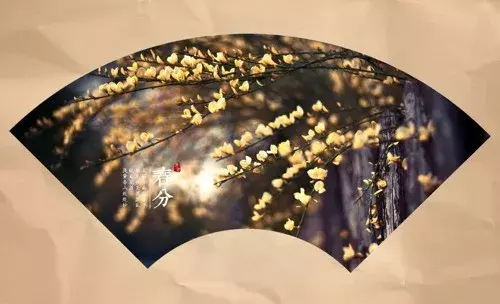 春分古诗大全鉴赏（关于春分节气的古诗） 第7张
