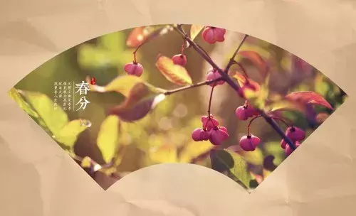 春分古诗大全鉴赏（关于春分节气的古诗） 第9张