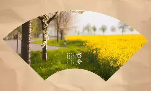 春分古诗大全鉴赏（关于春分节气的古诗） 第13张