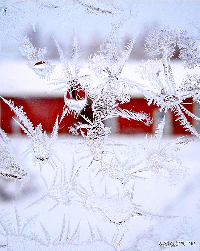 描写下雪的优美句子（感受雪景的心情短语） 第11张