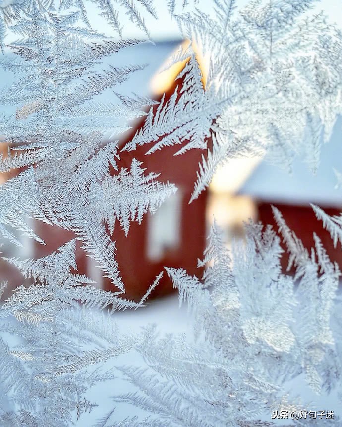 描写下雪的优美句子（感受雪景的心情短语） 第13张
