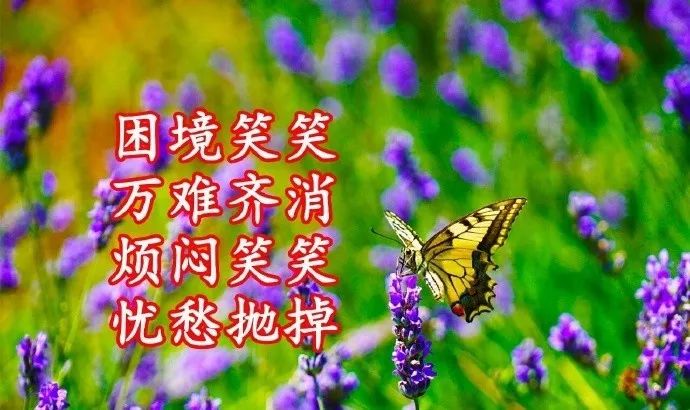 评价一个人的优点语句（高情商夸赞他人的经典美句） 第3张
