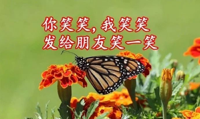 评价一个人的优点语句（高情商夸赞他人的经典美句） 第5张