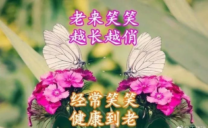 评价一个人的优点语句（高情商夸赞他人的经典美句） 第7张