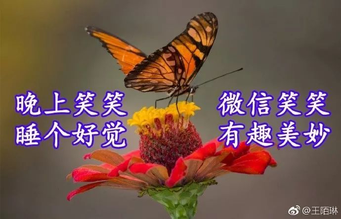 评价一个人的优点语句（高情商夸赞他人的经典美句） 第11张