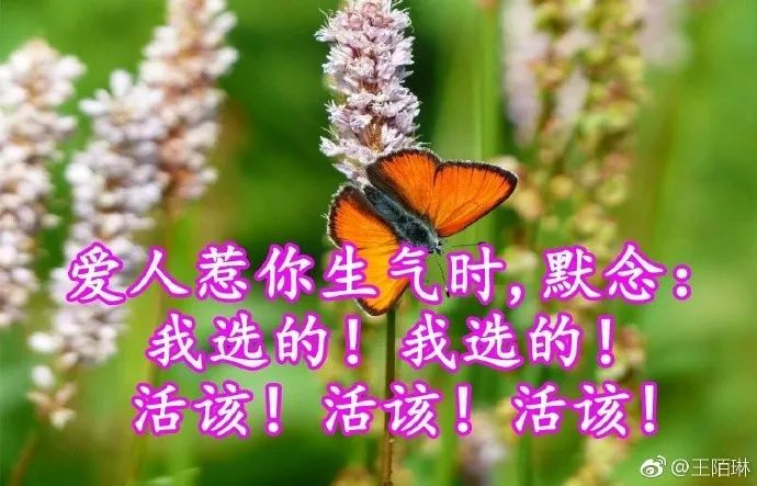 评价一个人的优点语句（高情商夸赞他人的经典美句） 第13张