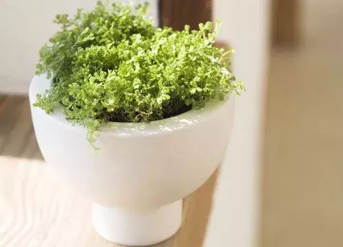 关于初心的句子摘抄大全（初心不变的唯美句子） 第9张