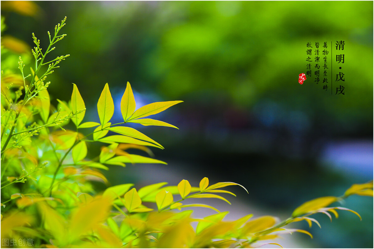 清明节的句子伤感（凄凉悲伤又唯美的句子） 第5张