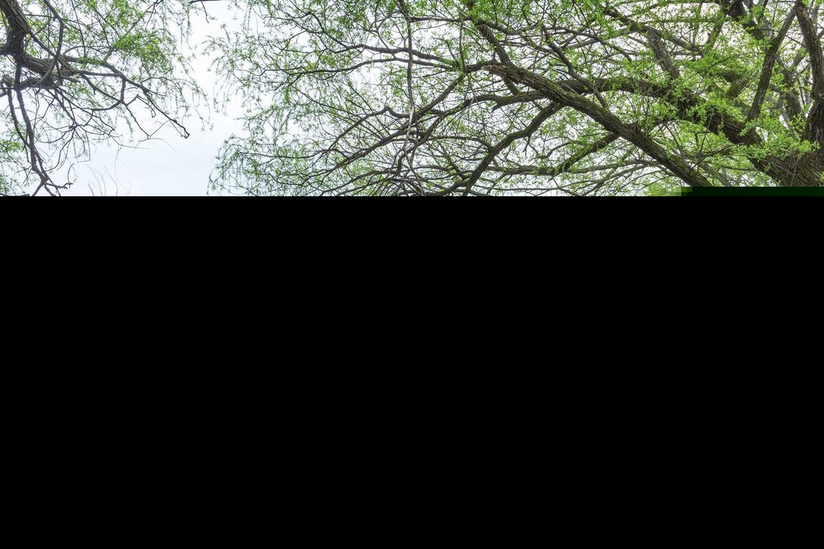 清明节的句子伤感（凄凉悲伤又唯美的句子） 第7张