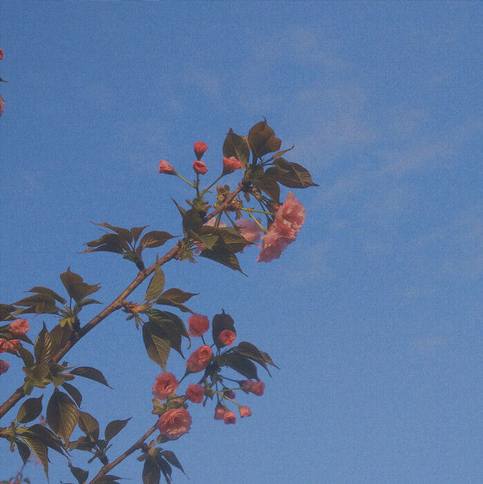 形容失望到极点的句子（对爱情不抱任何希望的心情说说） 第3张