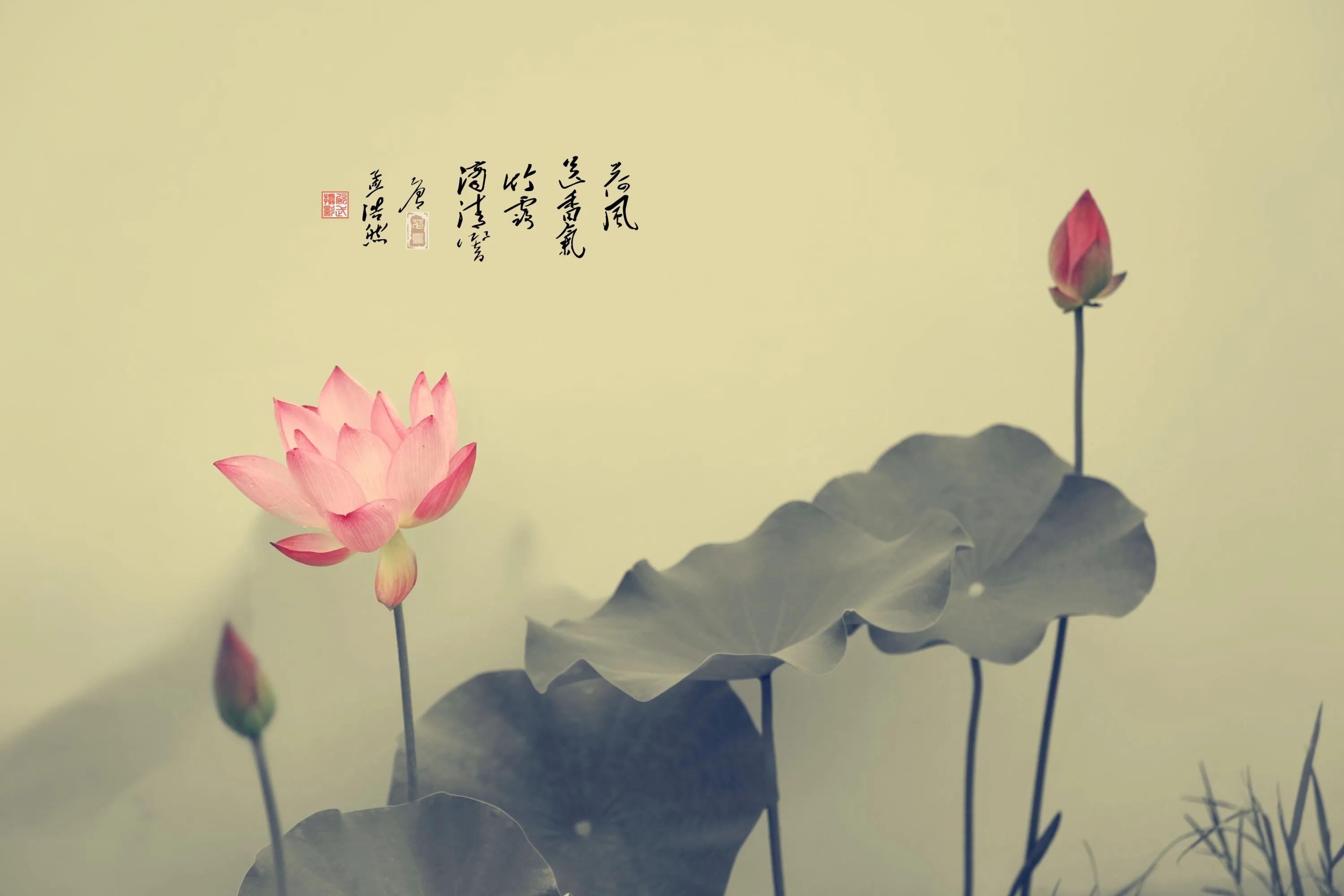 禅语静心的句子唯美（佛系短句干净治愈） 第5张
