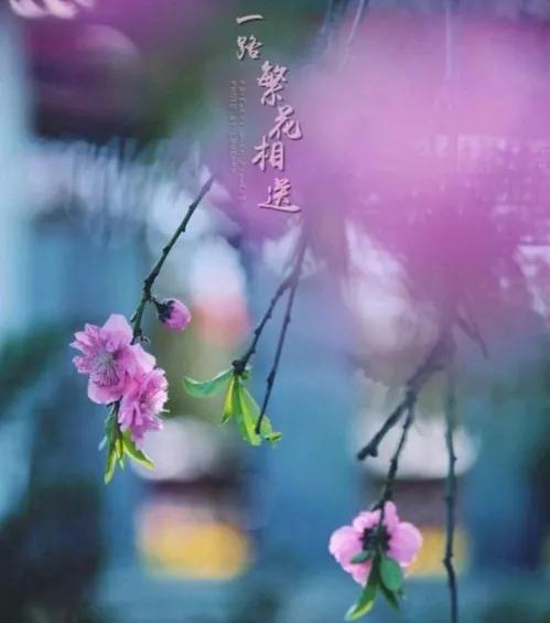 禅语静心的句子唯美（佛系短句干净治愈） 第9张