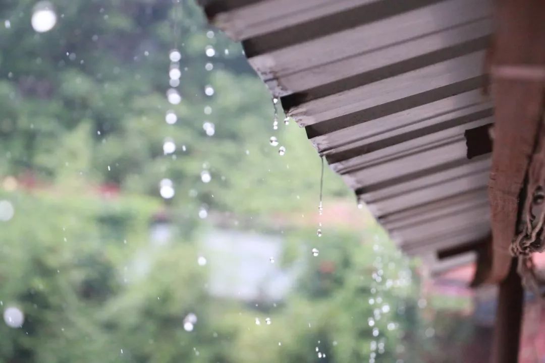 描写秋雨的唯美句子（有关秋雨的35首唯美诗句） 第11张