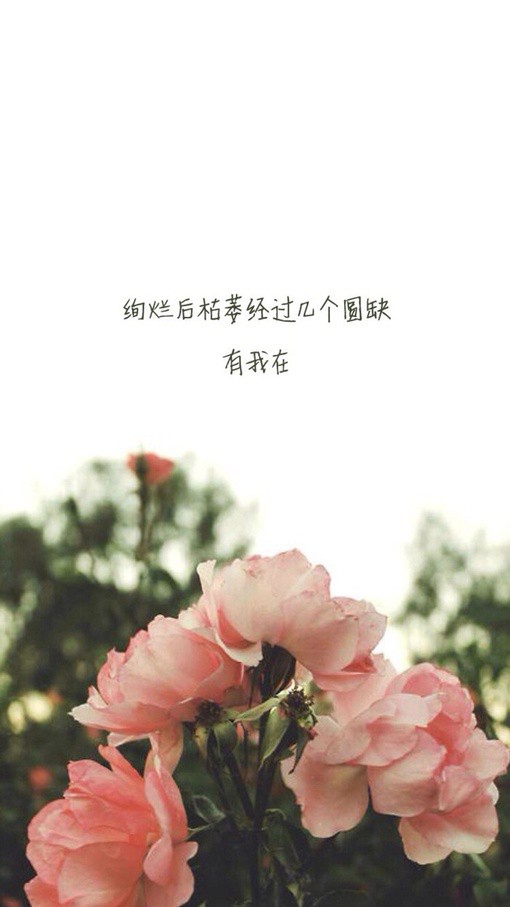 家的温暖唯美句子（描写家温馨的优美句子） 第7张