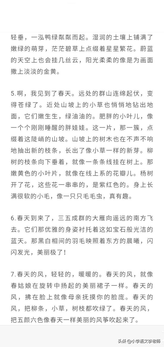 描写春天的排比句短句（用排比描写春天的句子） 第5张