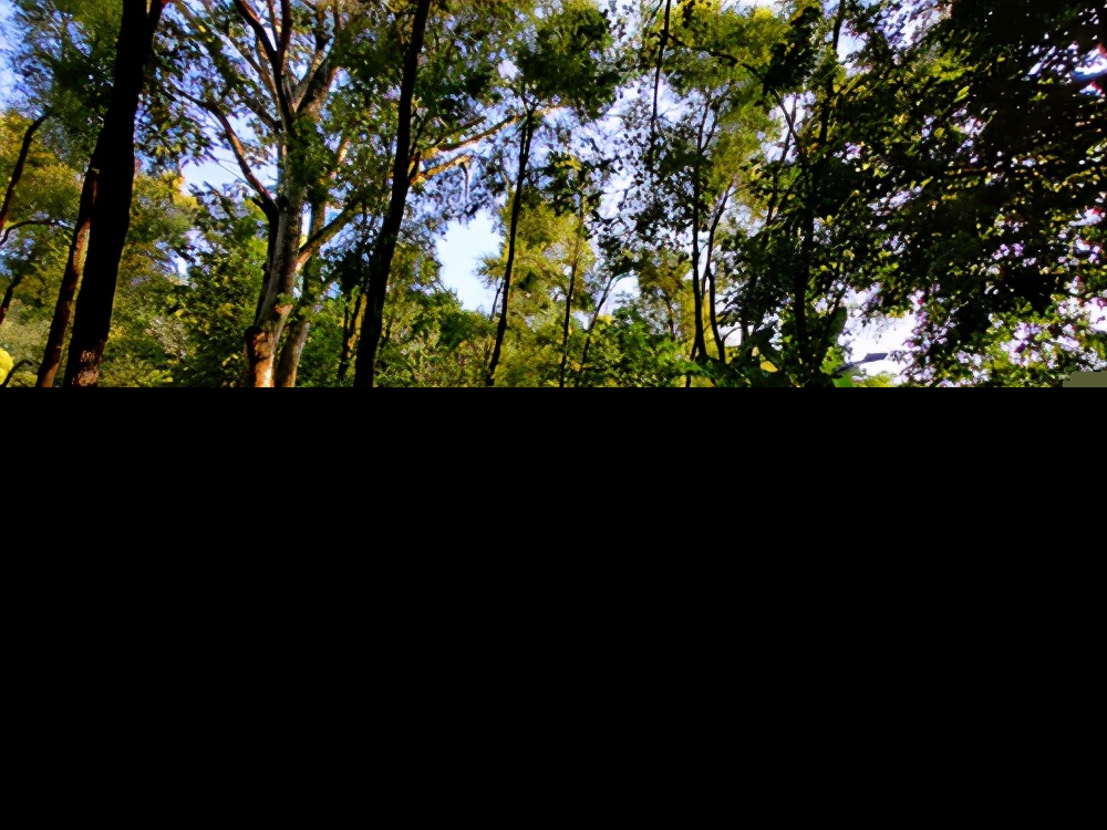 描写春天的散文诗句（最值摘抄的9首春景诗） 第1张