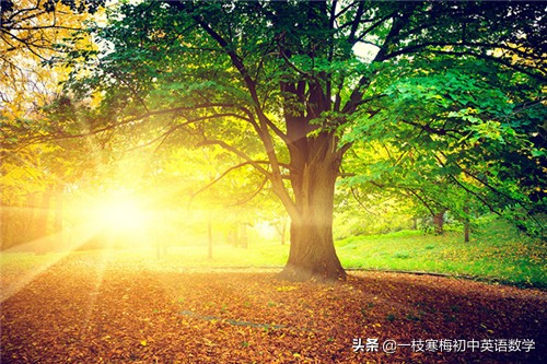 关于早晨的唯美句子英文（唯美早安心情的励志英文语录） 第5张