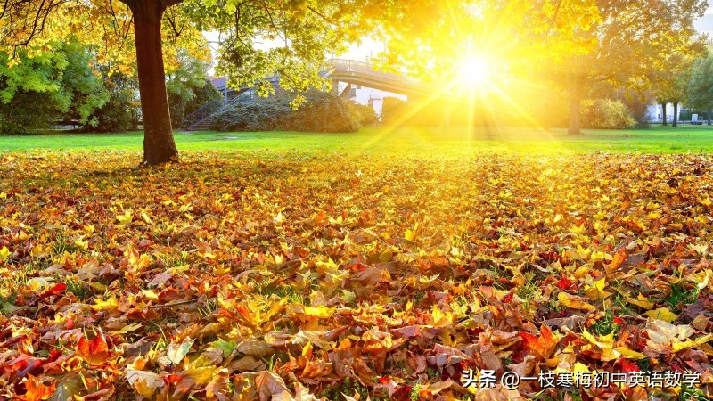 关于早晨的唯美句子英文（唯美早安心情的励志英文语录） 第7张
