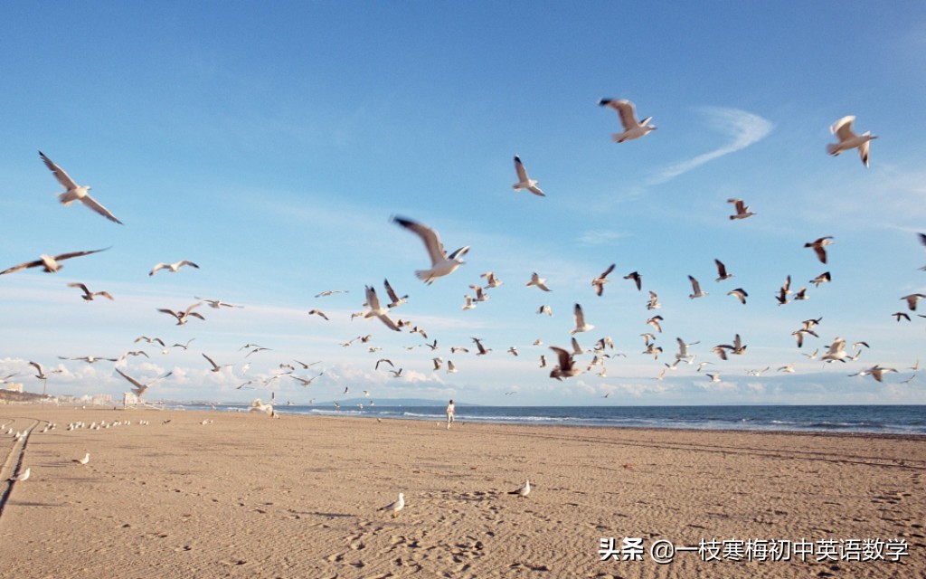 关于早晨的唯美句子英文（唯美早安心情的励志英文语录） 第11张