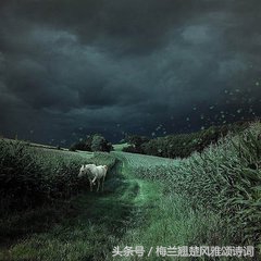 缅怀父亲去世的句子（附思念天堂父亲的经典诗句） 第3张