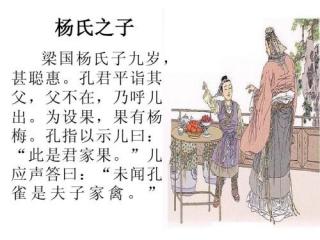 杨氏之子文言文翻译（杨氏之子的译文和道理） 第3张