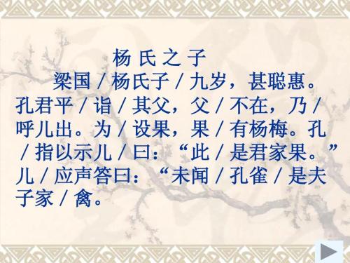 杨氏之子文言文翻译（杨氏之子的译文和道理） 第5张